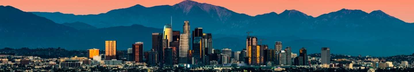 LAX-Skyline