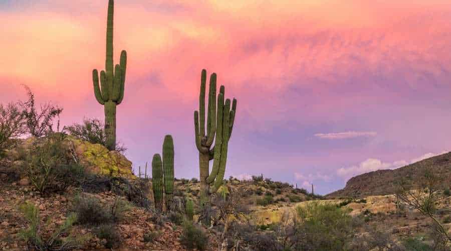 Tucson Airport Transfers