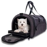 dog-carrier