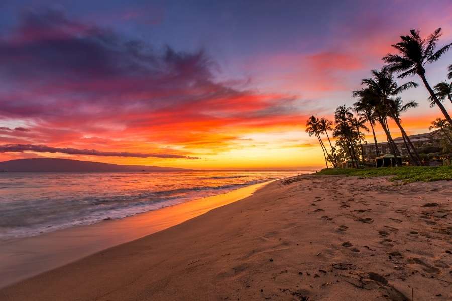 Maui Airport Shuttle