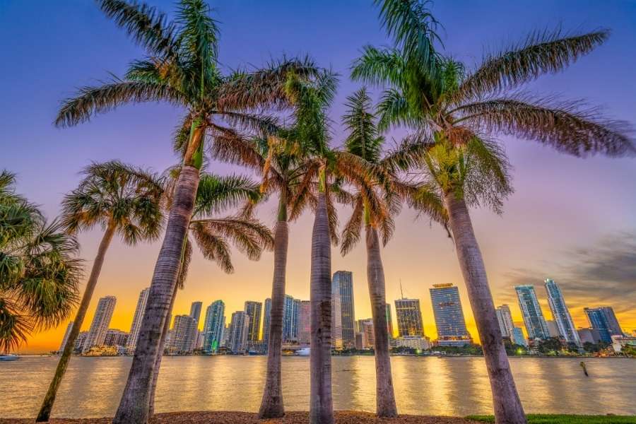 Miami Airport Transportation