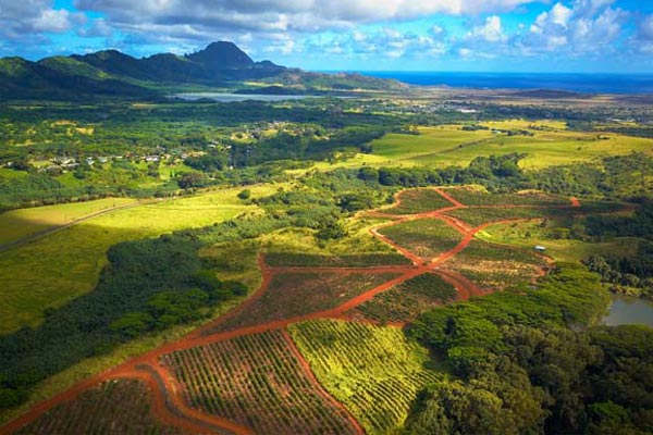 Kauai Tours