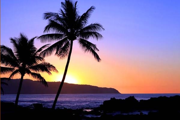Oahu Tours